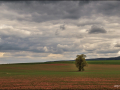 DSC_0320_hdr
