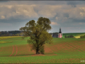 DSC_0323_hdr