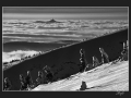DSC_4272  - 1.jpg