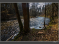 DSC_0622.jpg